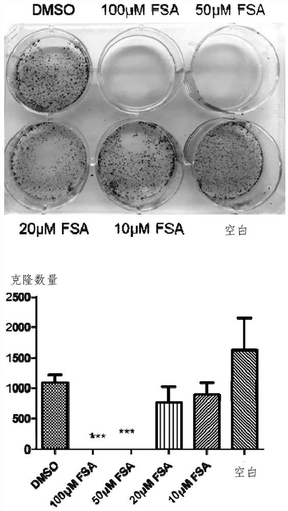 Application of forsythiaside a in the preparation of anti-esophageal squamous cell carcinoma drugs
