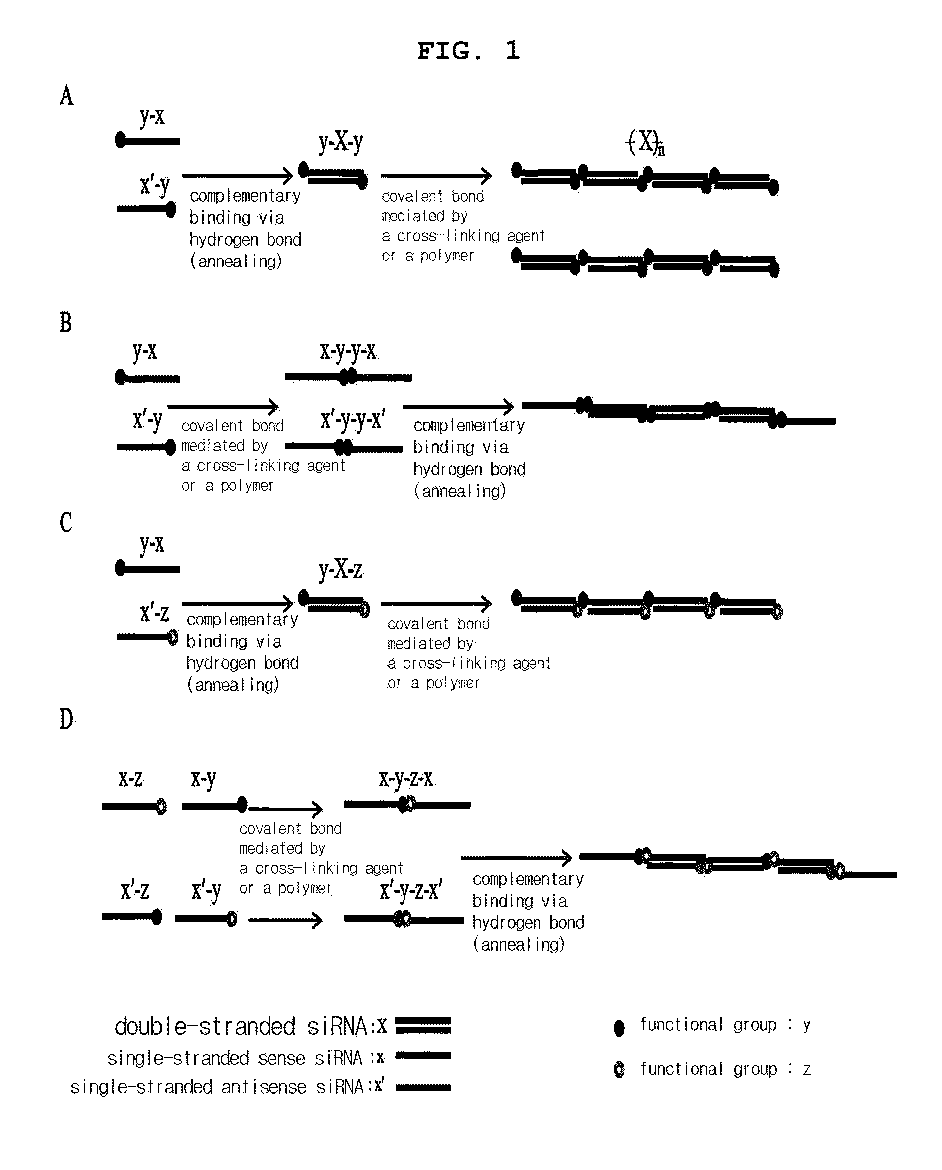 Multi-conjugate of siRNA and preparing method thereof