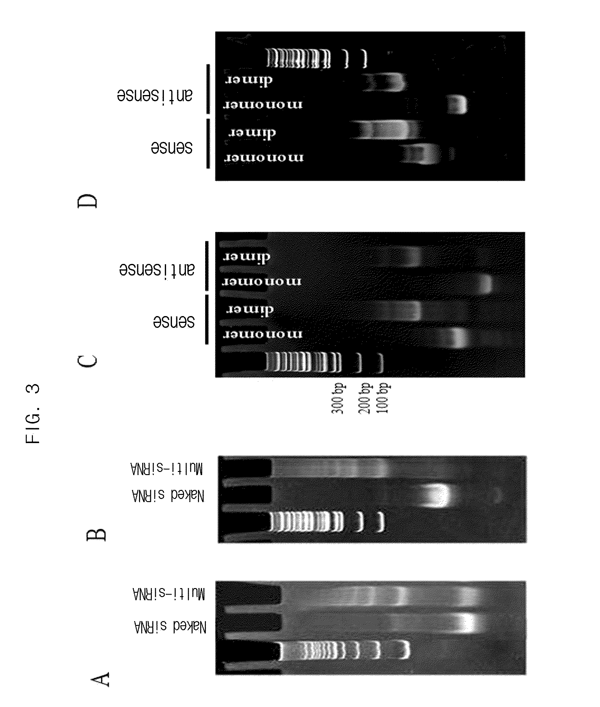 Multi-conjugate of siRNA and preparing method thereof