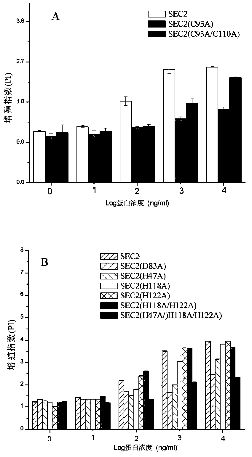 Attenuated enterotoxin C2 superantigen mutant protein as well as preparation method and application thereof