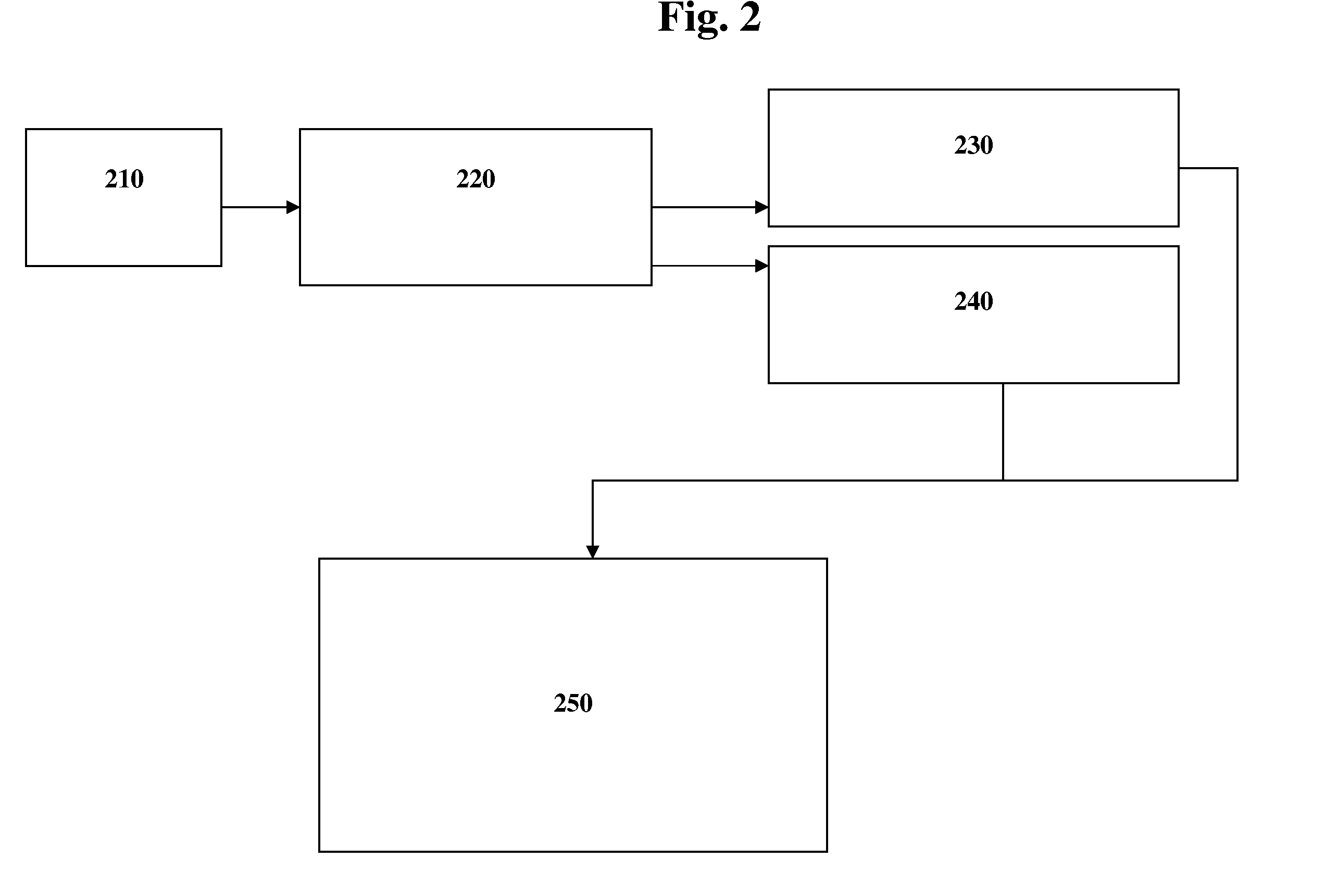 Dynamic e-mail system and method