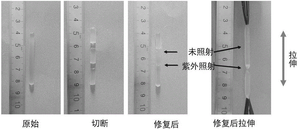 Self-repaired hydrogel and preparation method thereof