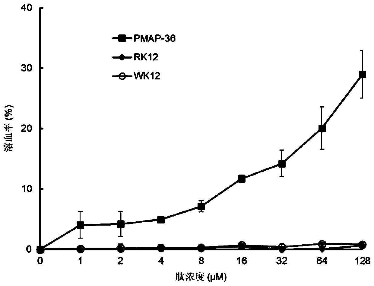 A tryptophan-rich antibacterial peptide wk12 and its preparation method and application