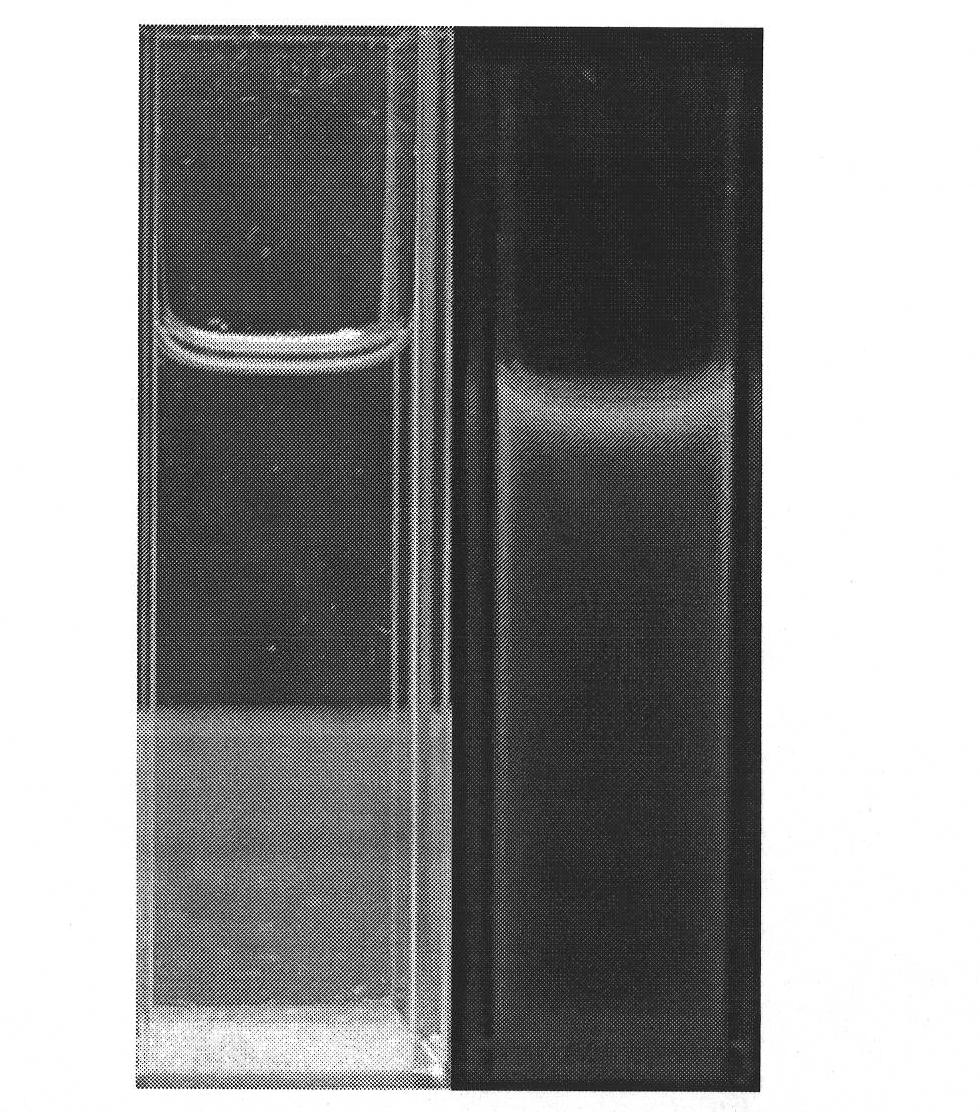 Water-soluble cationic iridium complex phosphorescence probe and preparation method
