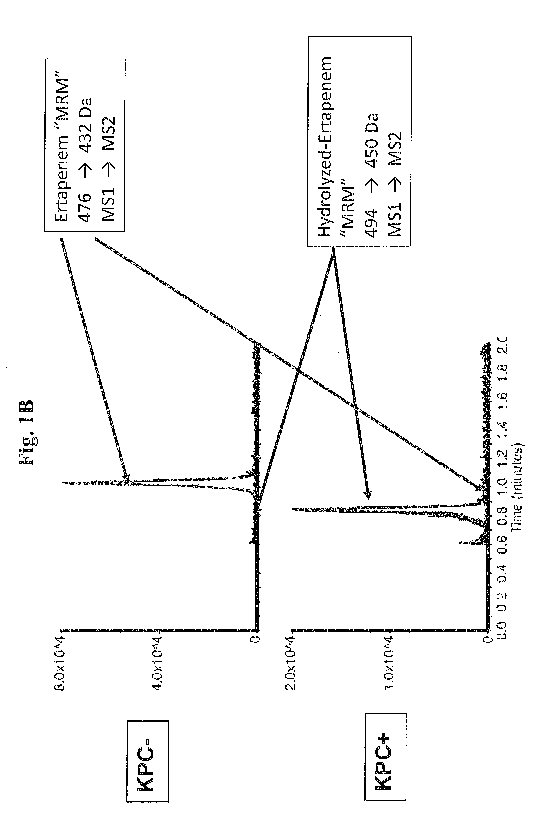 Methods and Kits for Detection of Antibiotic Resistance