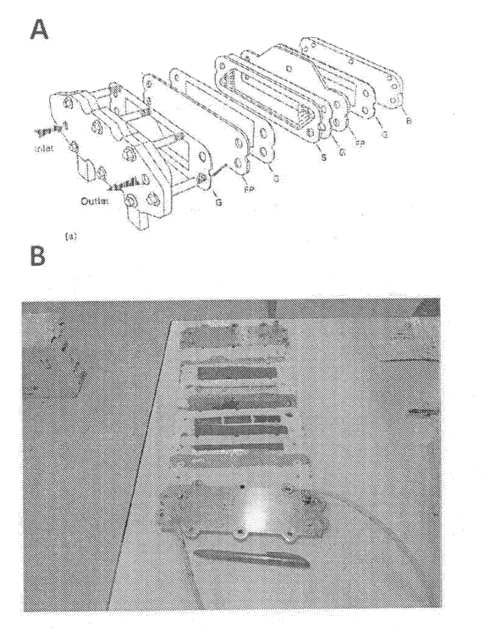 Method and electrochemical device for low environmental impact lithium recovery from aqueous solutions