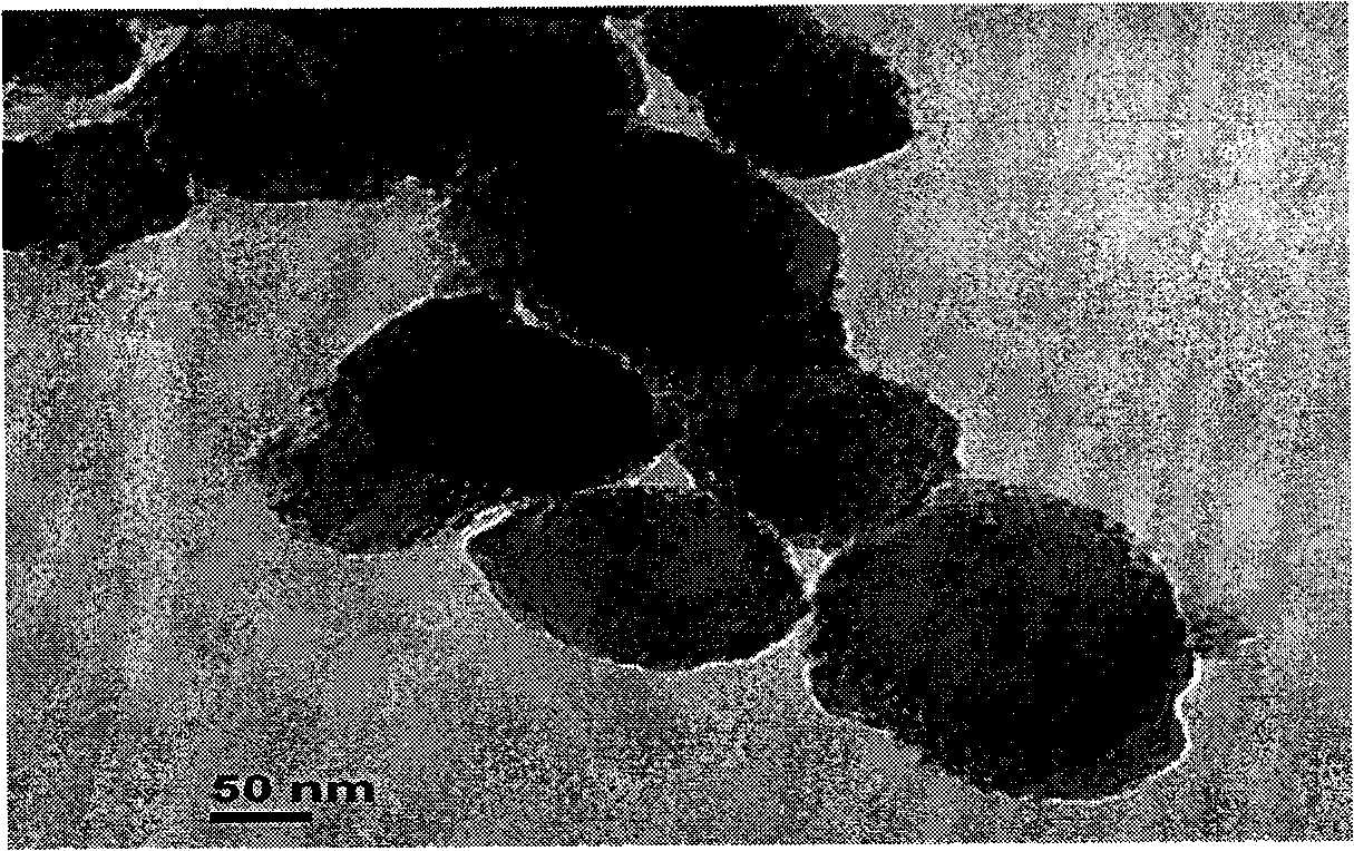 Preparation of CaTiO3-coated calcium oxide-based CO2 absorbent