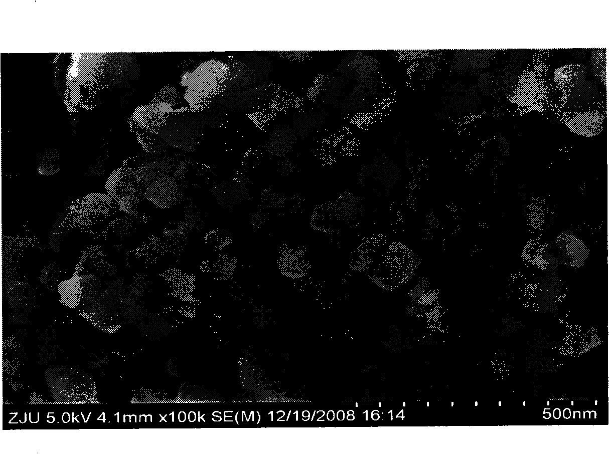 Preparation of CaTiO3-coated calcium oxide-based CO2 absorbent