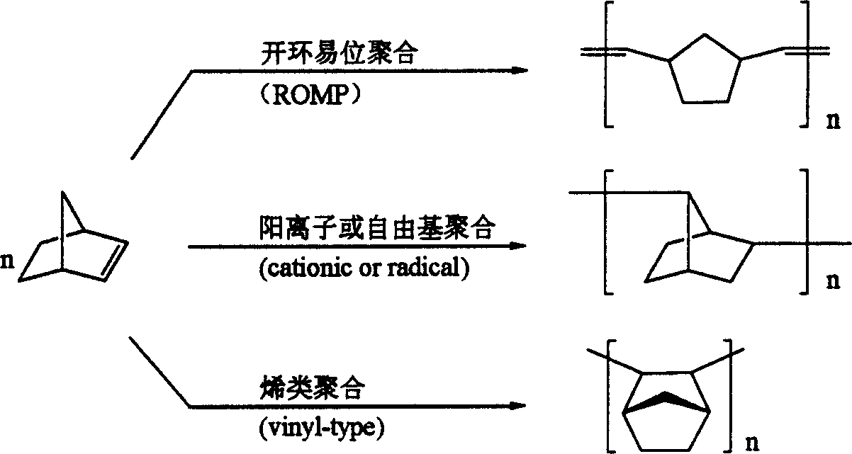 Catalysis system of nitrogen-accessory ingredient of oxygen and nickel in use for polymerizaton of norborene and ramification, preparation method and application