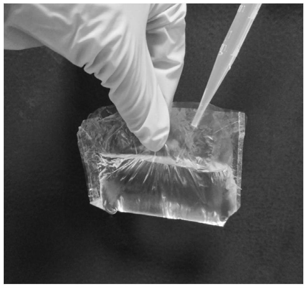 Water-resistant transparent paper and its preparation method and application