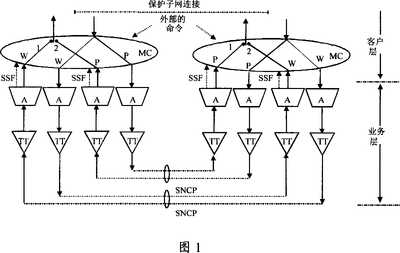 Method and apparatus for realizing network self-healing protection