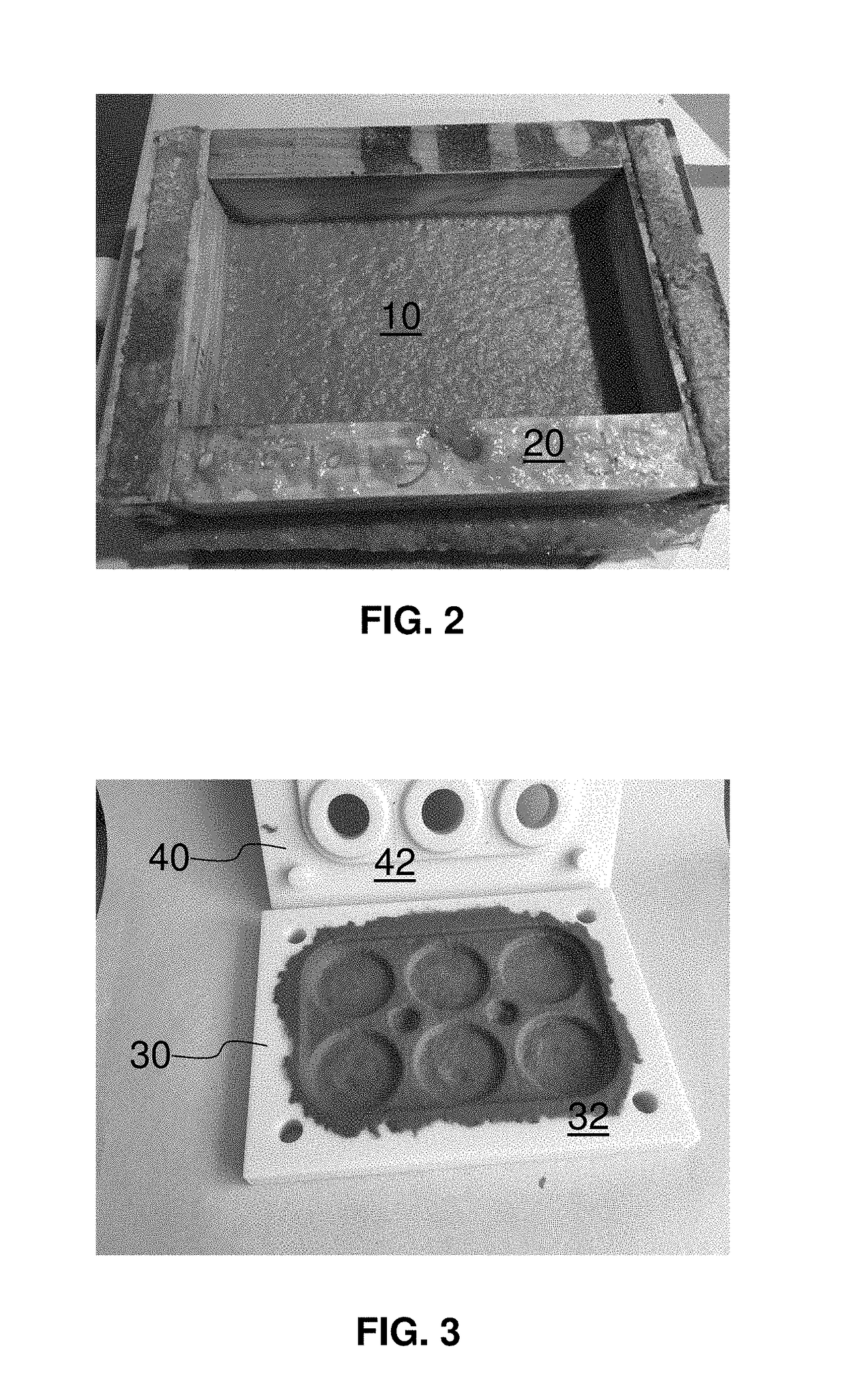 Edible Multi-Ring Can-Holder and Methods for Manufacturing Edible Can-Holders