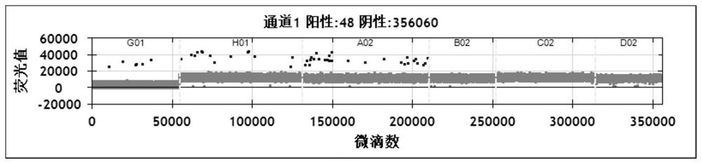 Primer probe for detecting amplification of recurrence and metastasis gene FZD2 of neuroblastoma, and application of primer probe