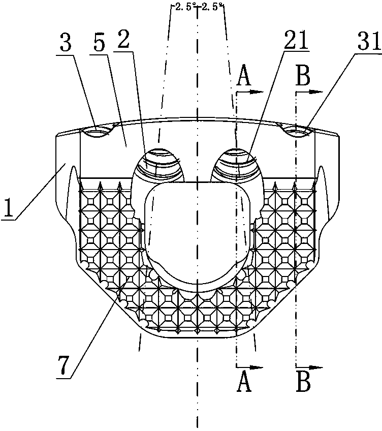 Interbody fusion apparatus