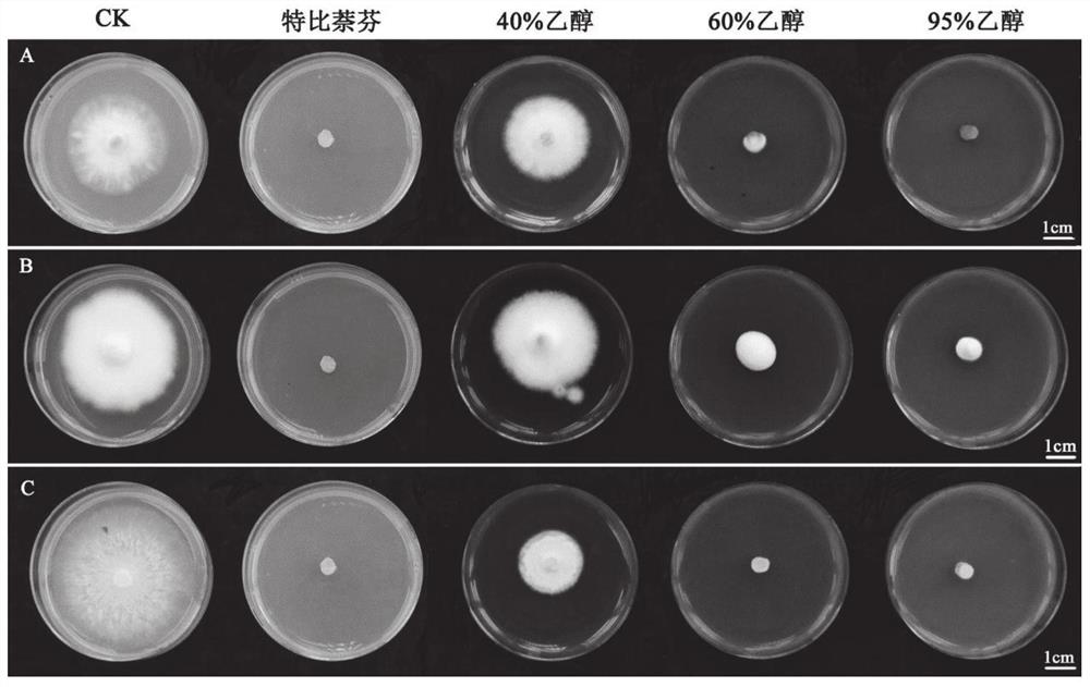 A kind of mugwort leaf extract and its preparation method and application