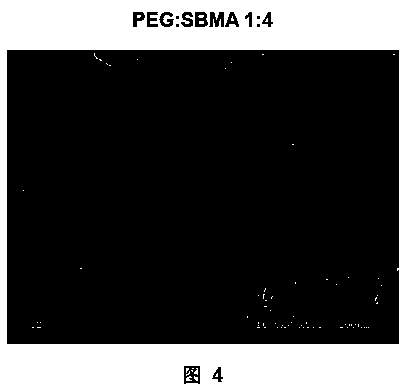 Composite hydrogel and preparation method thereof