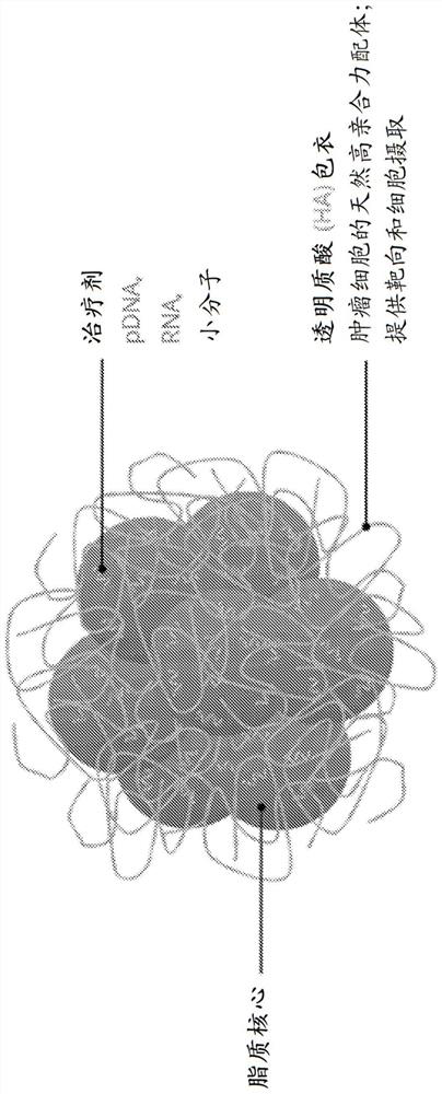 Encapsulated polynucleotides and methods of use