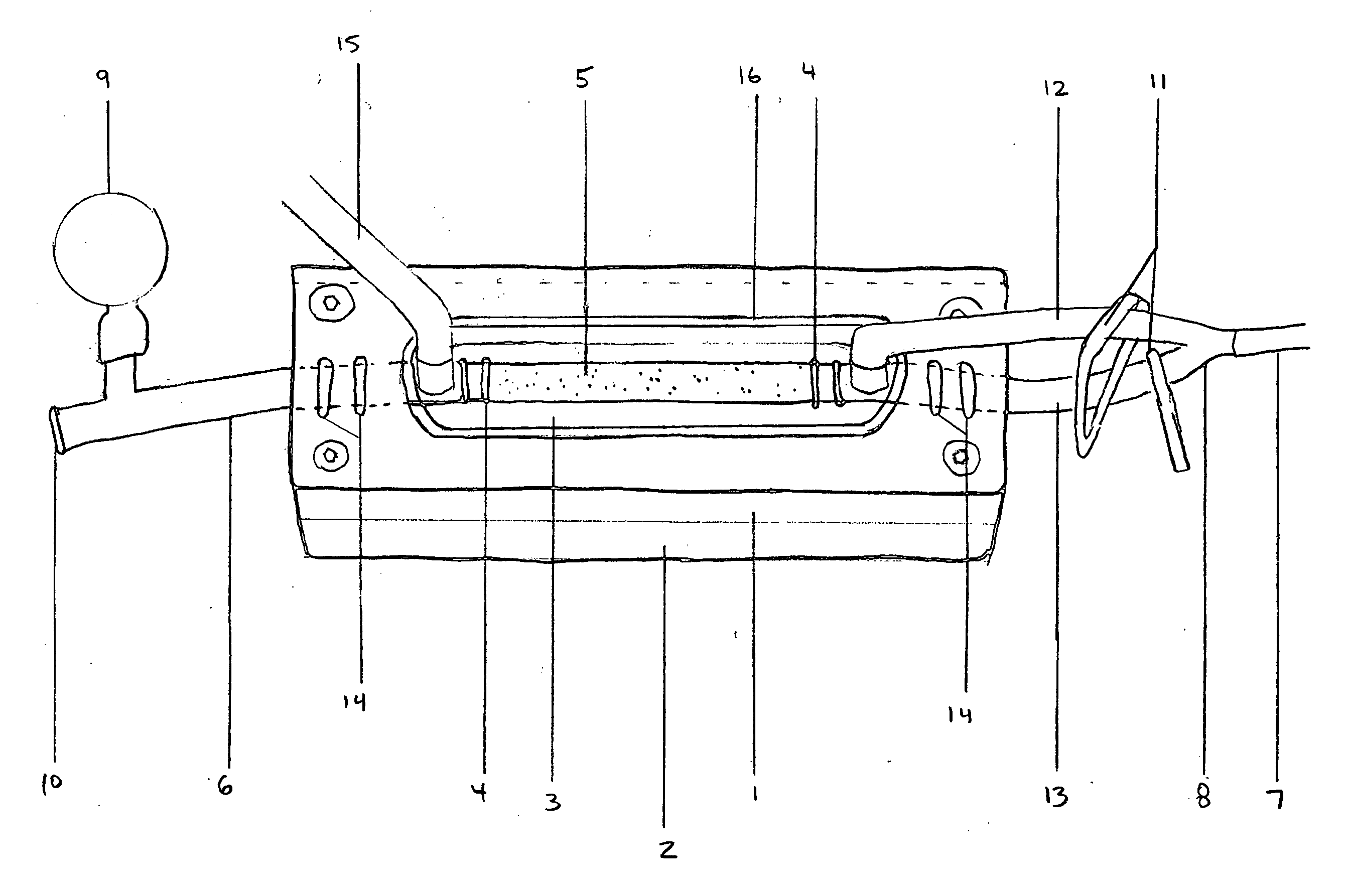 Cell sodding method and apparatus