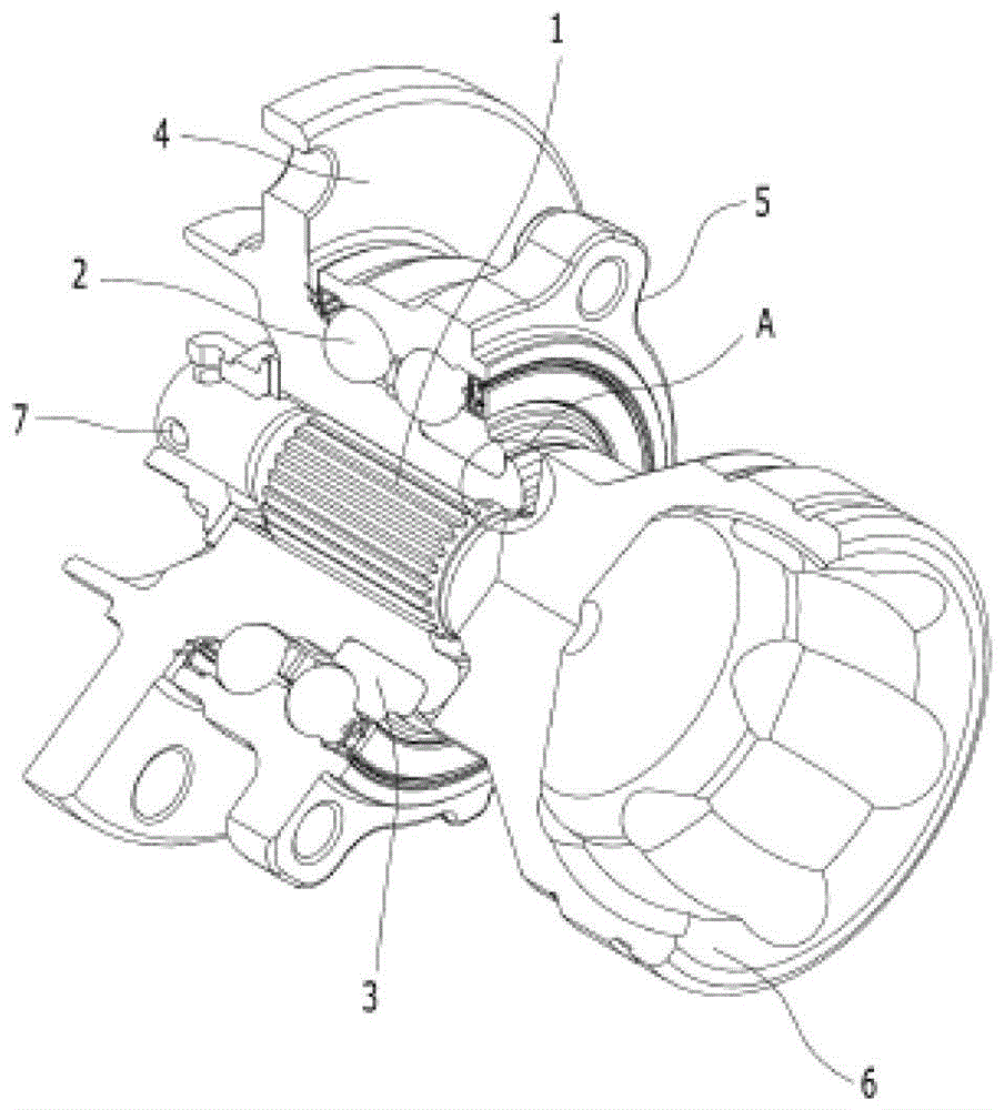 Wheel bearing connection structure