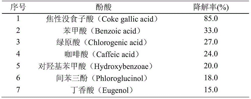 Phenolic acid degrading bacterium, biological organic fertilizer and application of phenolic acid degrading bacterium