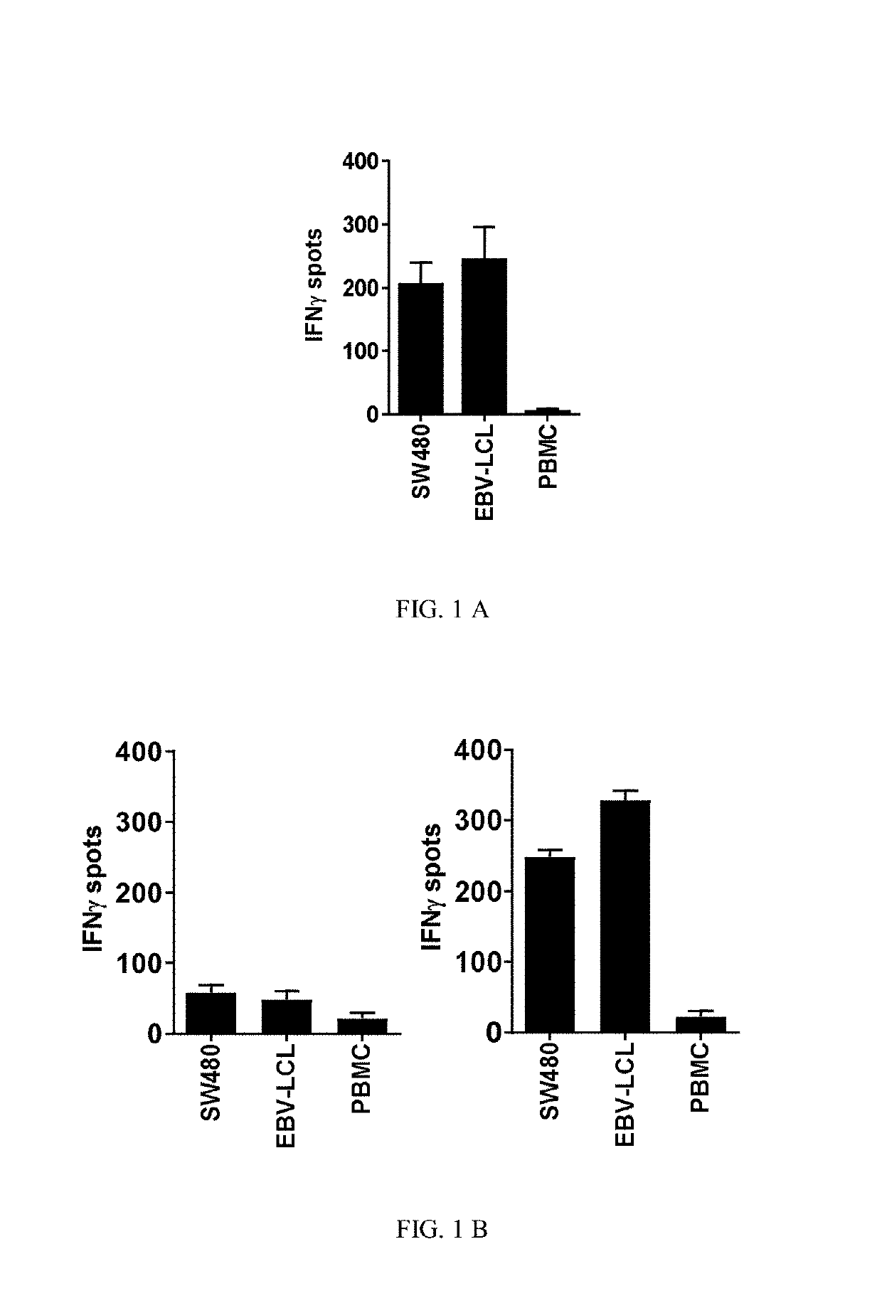 Human Leukocyte Antigen Restricted Gamma Delta T Cell Receptors and Methods of Use Thereof