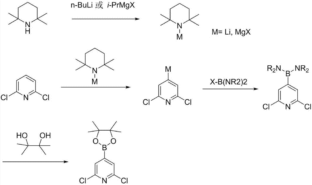 Synthesis process of 2,6-dichloropyridine-4-boracic acid pinacol ester