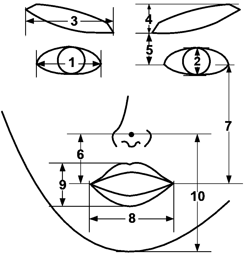 Voice-vision fusion emotion recognition method based on hint nerve networks