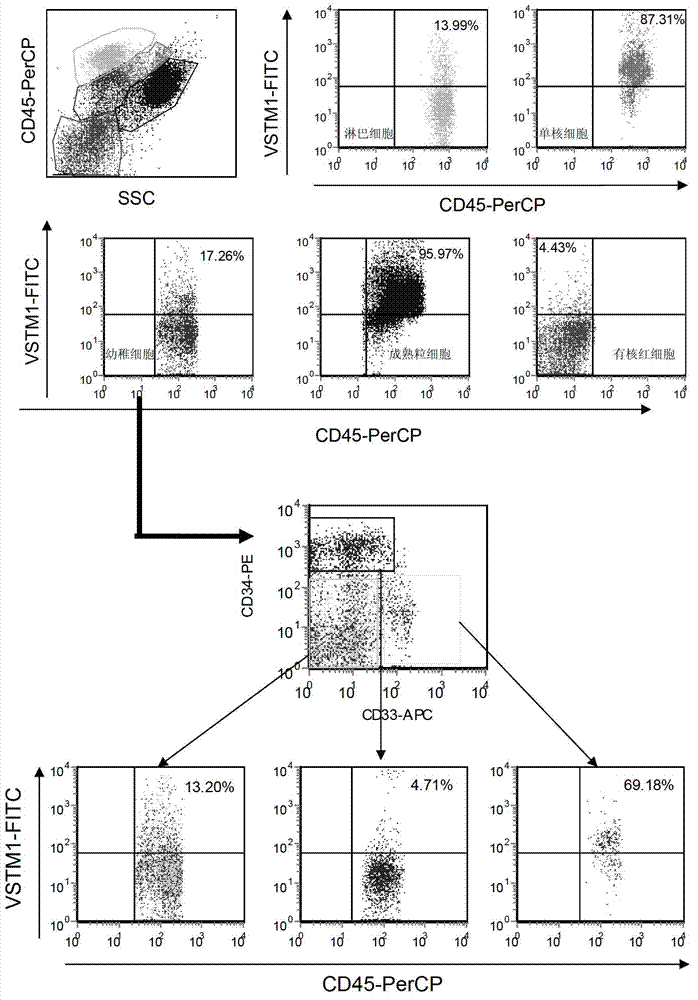 Kit for detecting or supplementarily detecting medullary leukemia cell differentiation stages