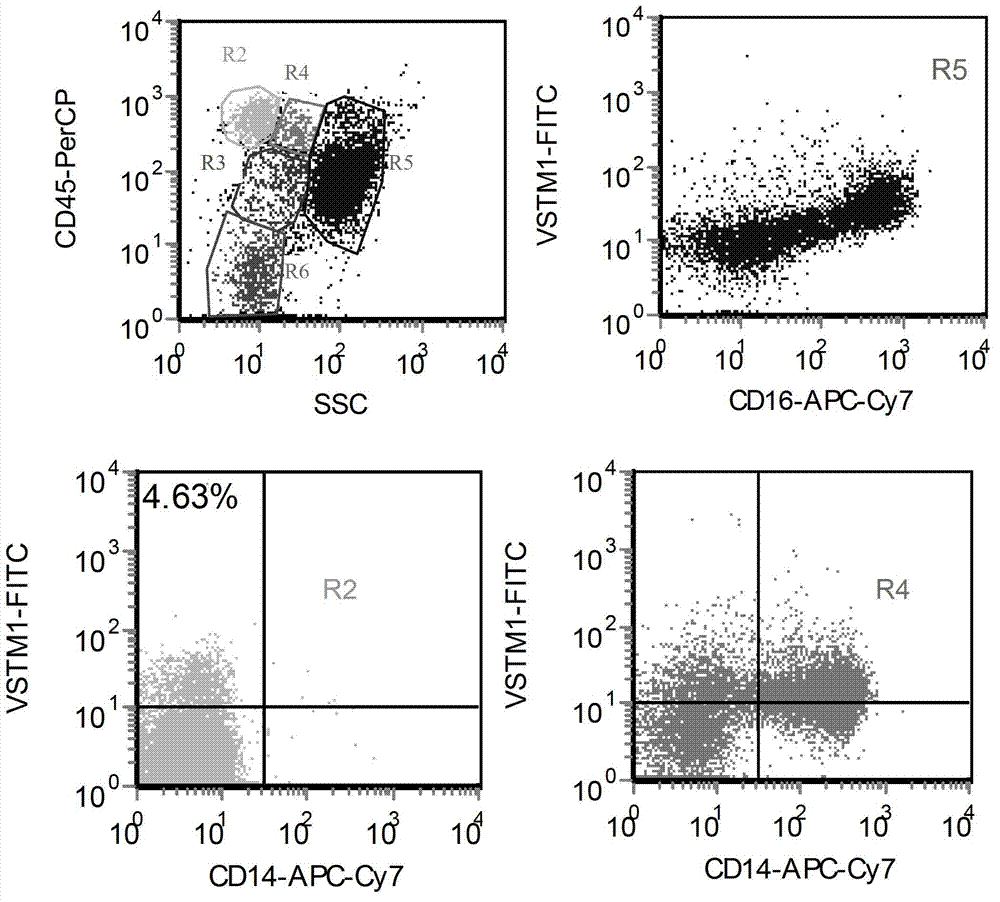 Kit for detecting or supplementarily detecting medullary leukemia cell differentiation stages