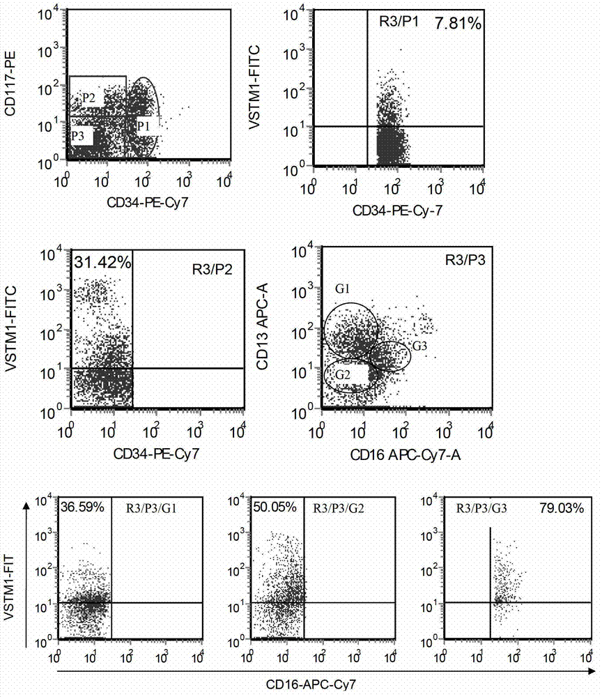 Kit for detecting or supplementarily detecting medullary leukemia cell differentiation stages