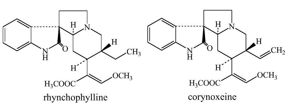 Method for preparing high-purity rhynchophylline monomer