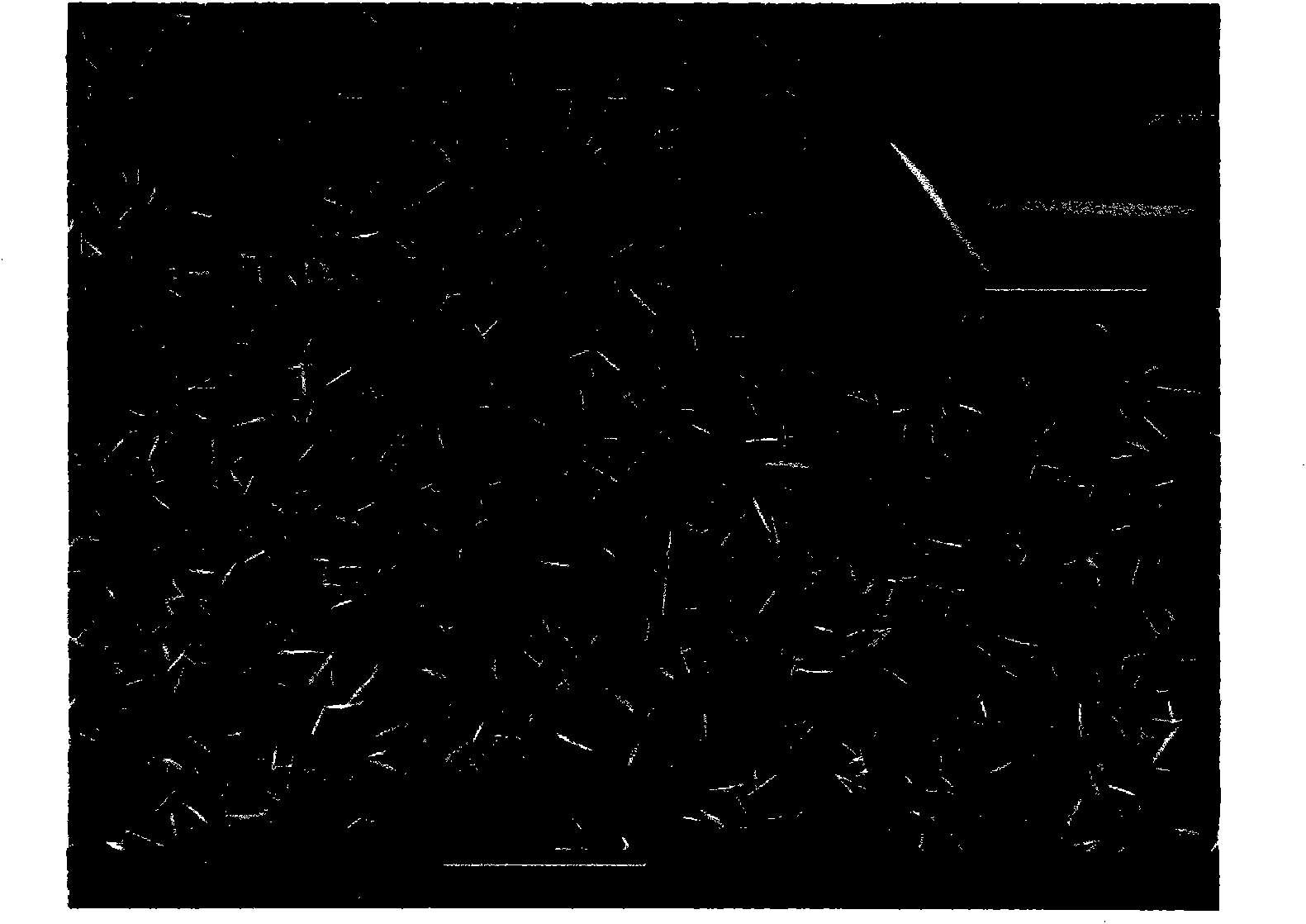 Two-dimensional noble metal nanometer material and preparation method thereof