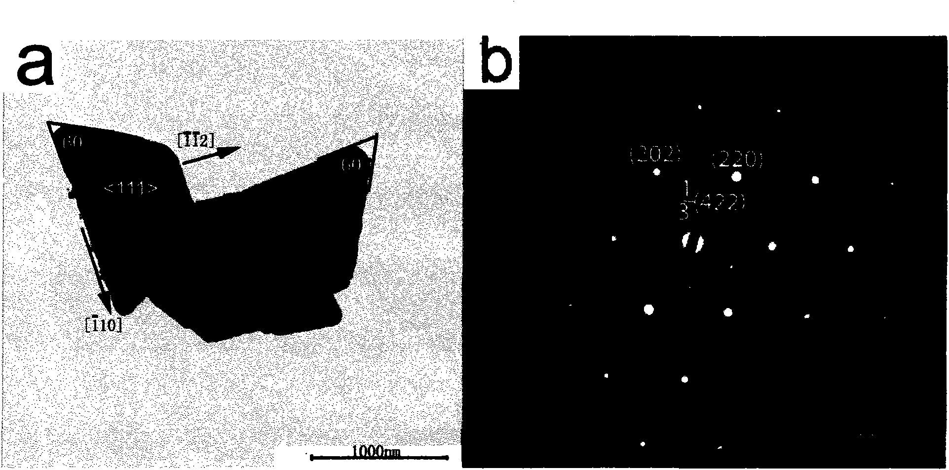 Two-dimensional noble metal nanometer material and preparation method thereof