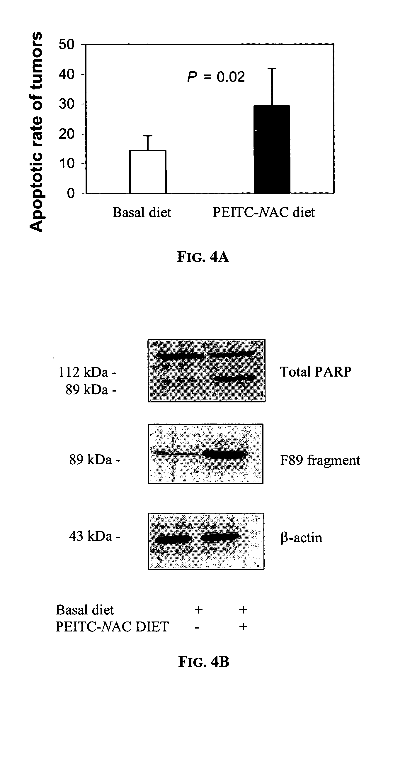 Method of modulating immune response by administration of immuno-activation agent