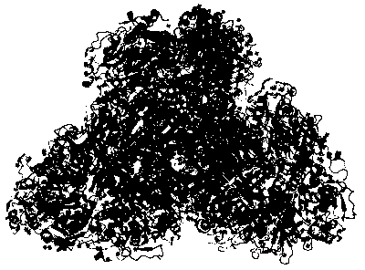 Preparation method and application for biphenyl dioxygenase mutant of polychlorinated biphenyl degrading bacteria