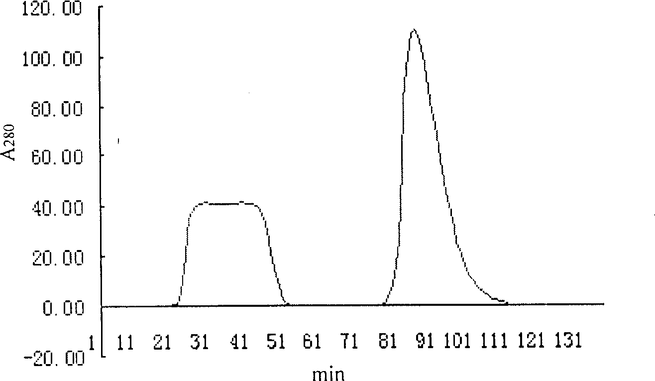 High performance quick purifying method for preparing piecewise antibody