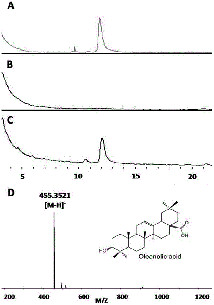 Recombinant saccharymyces cerevisiae for producing ginsengenins as well as construction method and application of same
