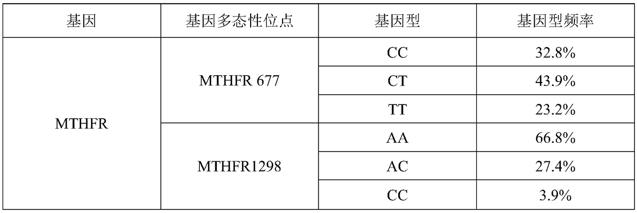 Human MTHFR (methylene tetrahydrofolate reductase) gene polymorphism test kit as well as preparation method and application thereof