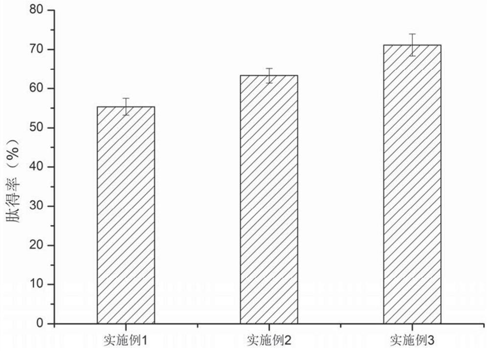 Preparation method and application of a wheat gluten peptide capable of improving ethanol tolerance of Saccharomyces cerevisiae