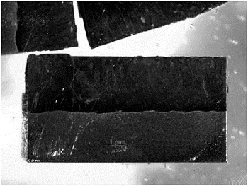 Excess weld metal and weld penetration collaborative prediction method based on molten pool image and deep residual error network