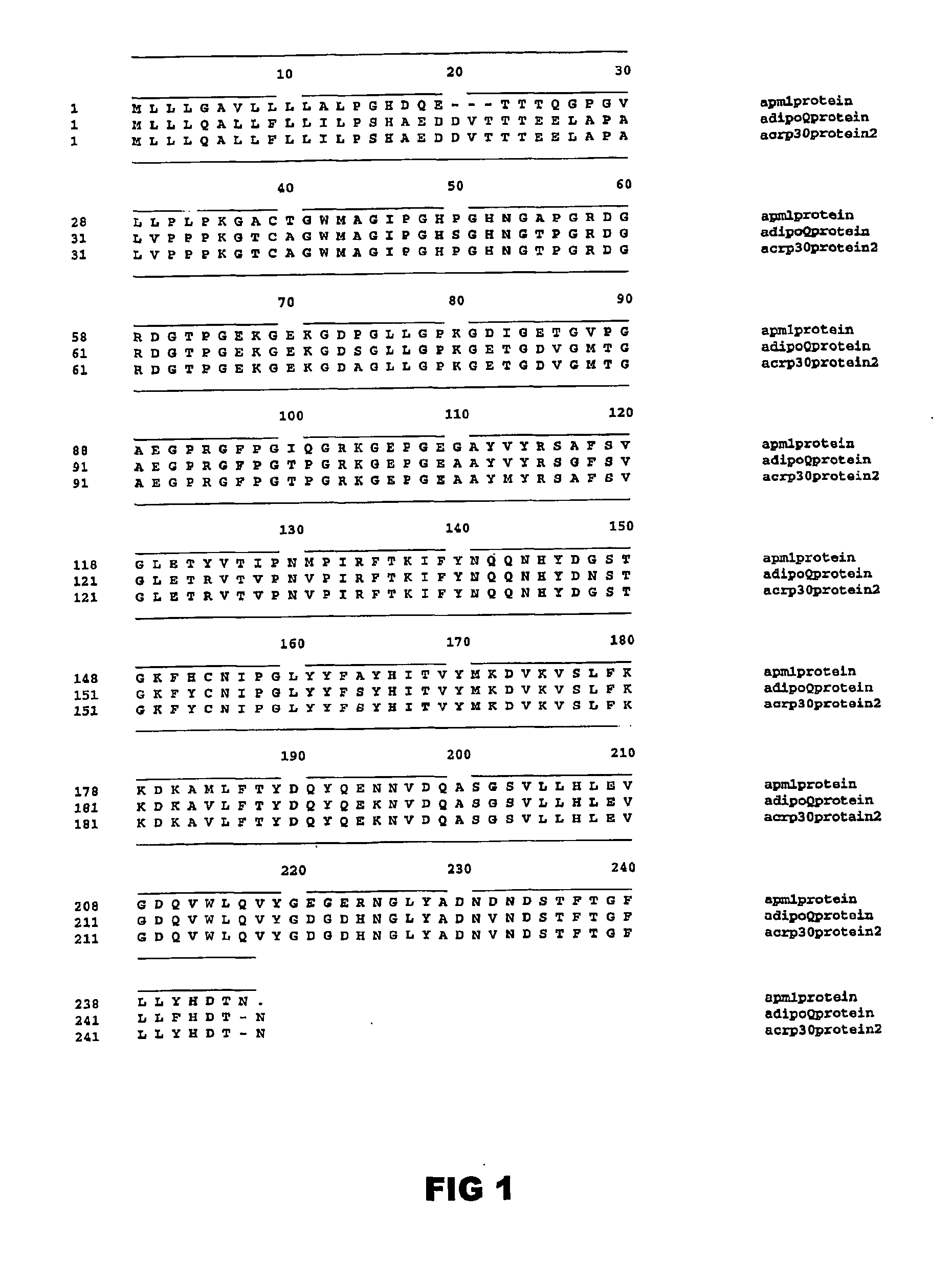 Homotrimeric extended obg3 globular head and uses thereof