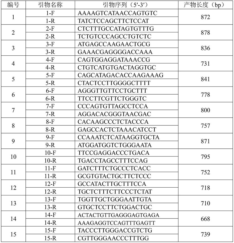 SNP markers and their applications for the identification of four commonly used strains of rats