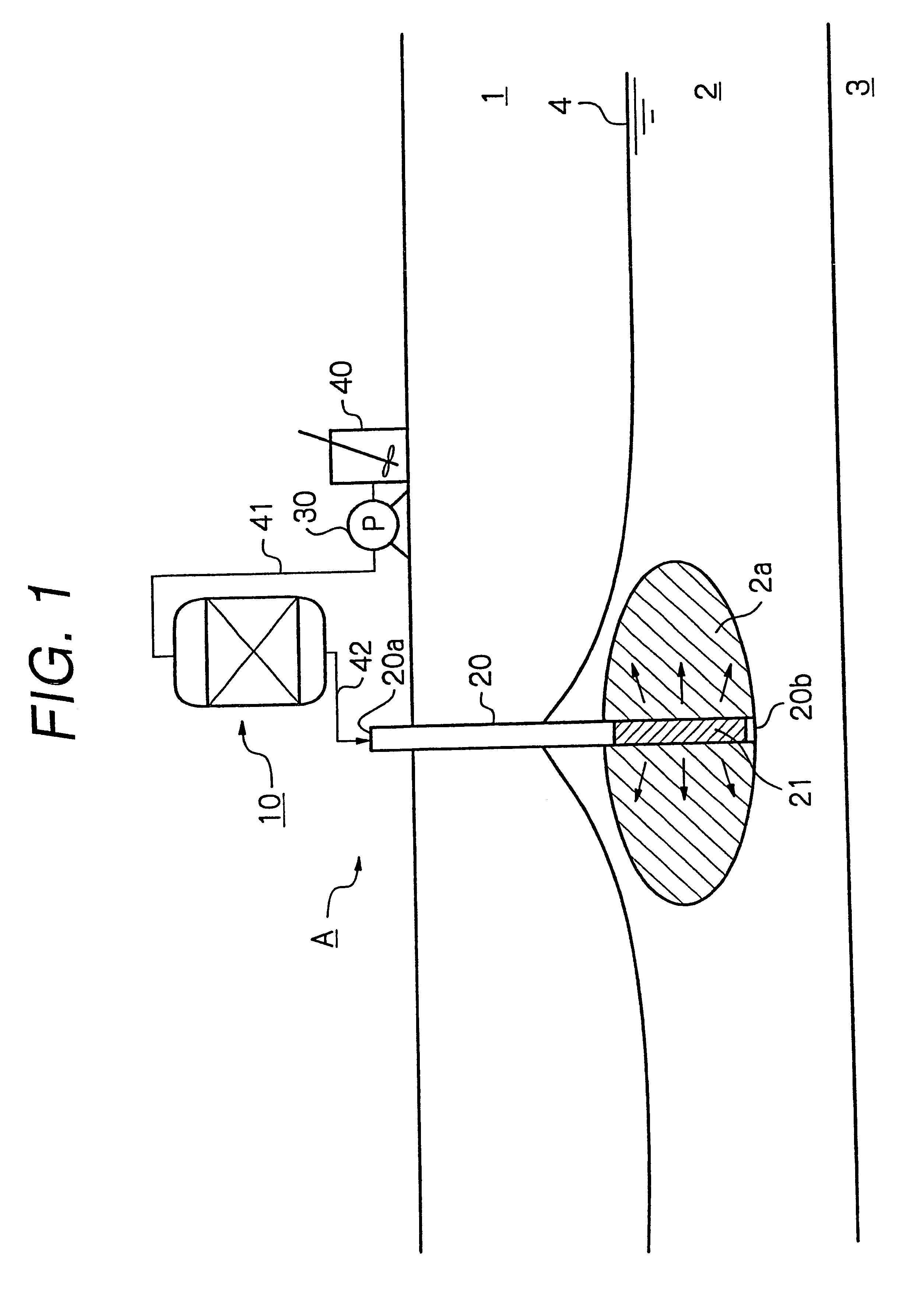 Method and apparatus for purifying polluted substances containing halogenated organic compound