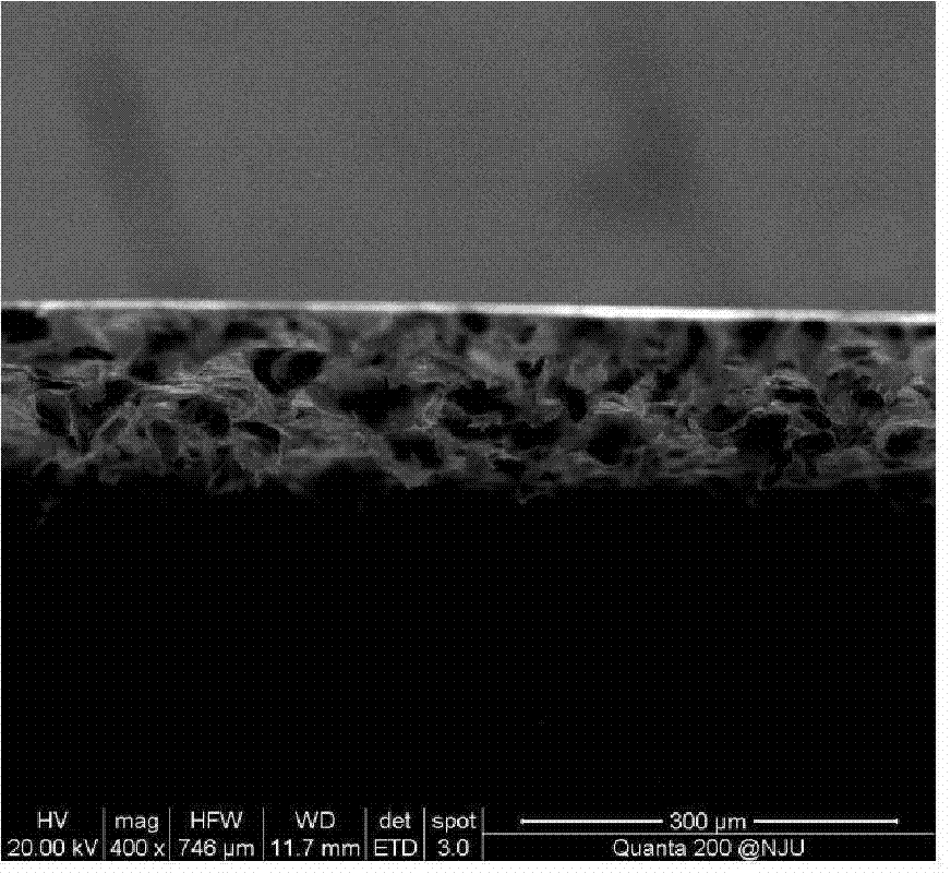 Method for preparing large-area graphene sponge