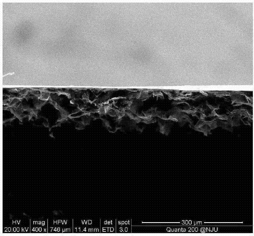 Method for preparing large-area graphene sponge