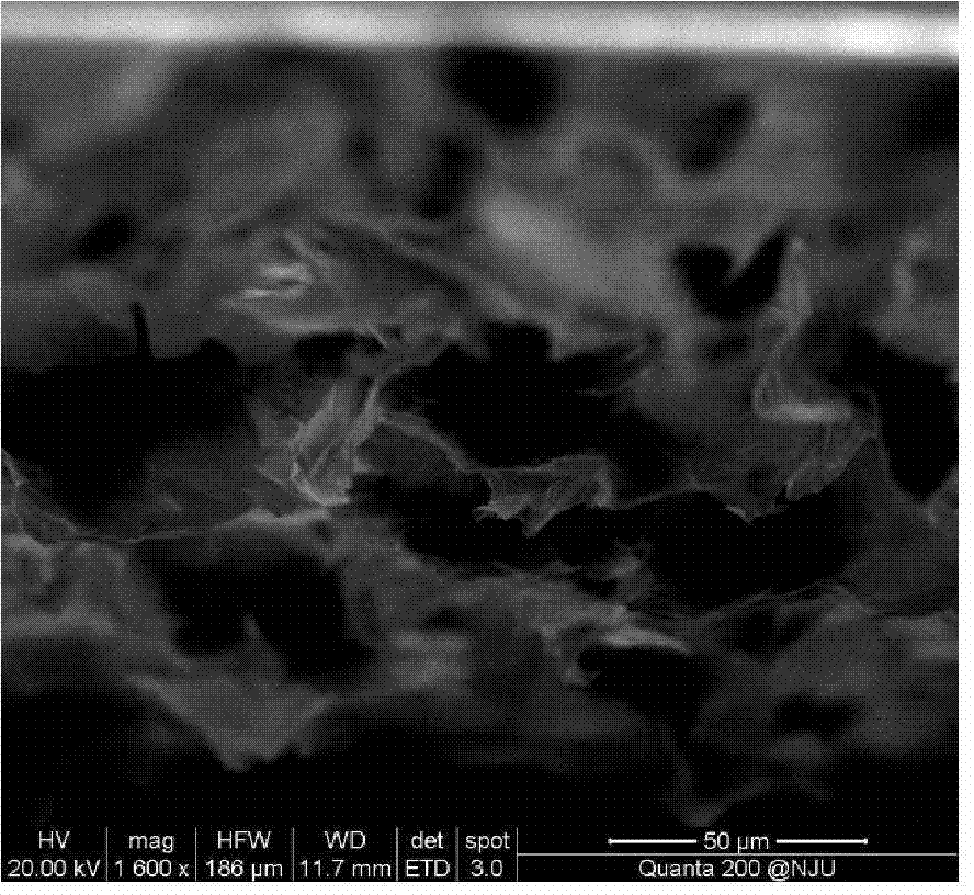 Method for preparing large-area graphene sponge