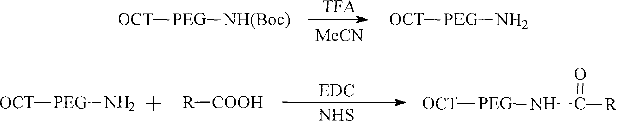 Amphipathic compound using somatostatin analogue as target radical and pharmaceutics application thereof