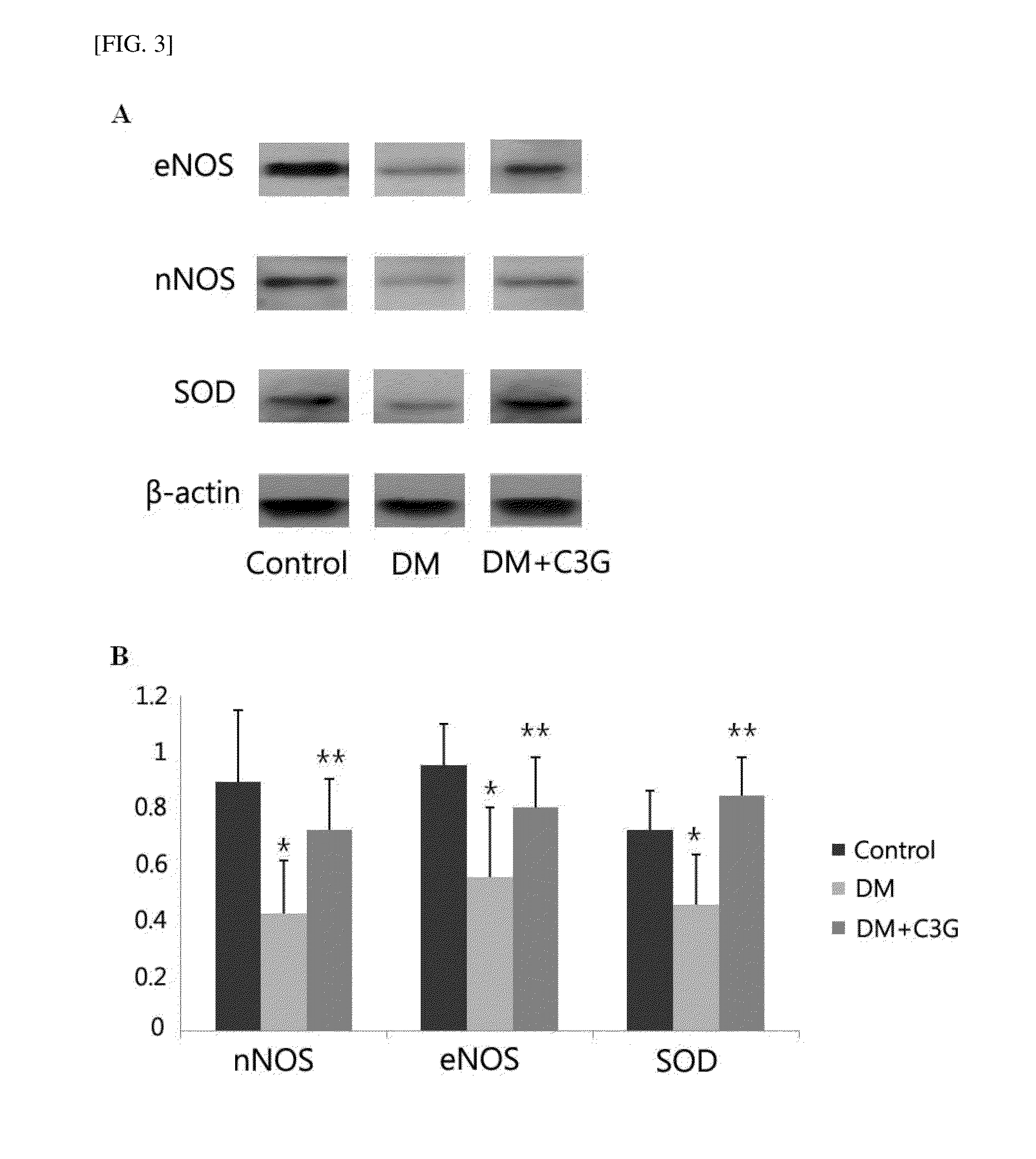 Pharmaceutical composition including c3g or mulberry extracts containing c3g for preventing or treating diabetic impotence