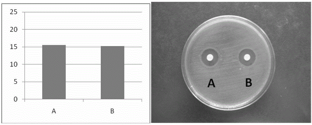 A kind of medium-term preservation solution of cornea and preparation method thereof