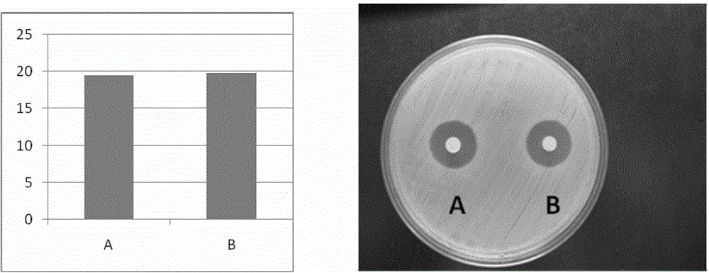 A kind of medium-term preservation solution of cornea and preparation method thereof